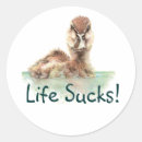 Suche nach lustige enten aufkleber Zitat