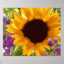 Suche nach anordnung poster Botanisch