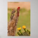 Suche nach pair poster Blume