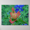 Suche nach multiregion poster Mit blumen
