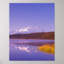 Suche nach denali poster Natur