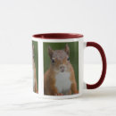 Suche nach rotes eichhörnchen tassen Nagetiere