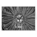 Suche nach maine waschbär postkarten Lustig