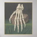 Suche nach skeleten Spukhaft