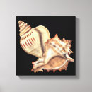 Suche nach muscheln leinwandbilder Ozean