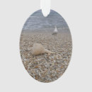 Suche nach strand muscheln ornamente Strände