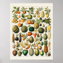 Suche nach vintage obst poster Banane