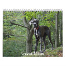 Suche nach great dane Kaninchen