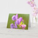 Suche nach erbsen karten Lila