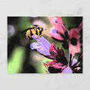 Suche nach bienen blume postkarten Wildtiere