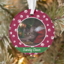 Suche nach weißes kätzchen ornamente Cats