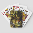 Suche nach realistisch spielkarten Katze