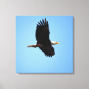 Suche nach flug leinwandbilder Natur