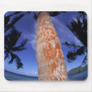 Suche nach das polynesien mousepads Strand