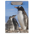 Suche nach pinguin klemmbrett Antarktis