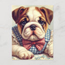 Suche nach englische bulldogge postkarten Welpe
