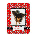 Suche nach chien karten Niedlich