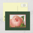 Suche nach leere postkarten Rosa