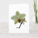 Suche nach die orchidee karten Gewohnheit