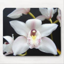 Suche nach orchideen blumen mousepads Foto