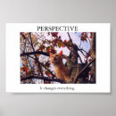 Suche nach cat motivational poster Kitten