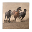 Suche nach ebene fliesen Tiere