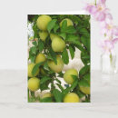 Suche nach gelbe frucht karten Pflaumen