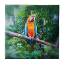 Suche nach papagei macaw fliesen Ara