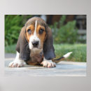 Suche nach trauriger hund poster Niedlich