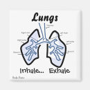 Suche nach organe magnete Lunge