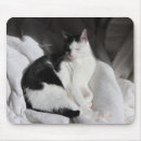 Suche nach schwarz weiße katze mousepads Kätzchen
