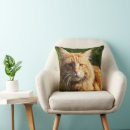 Suche nach hauskatze kissen Katzen