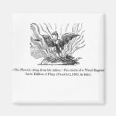 Suche nach asche magnete Vogelvogel