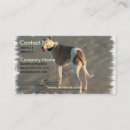 Suche nach whippet Haustiere