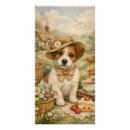 Suche nach russel poster Jack russel terrier