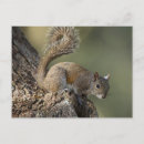 Suche nach wachsam poster Superstock