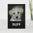 Suche nach leben unter diesem karten Friend