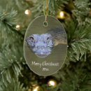 Suche nach wildes tier ornamente Aquarell