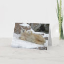 Suche nach eisbär geburtstag karten Arktisch