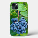 Suche nach landwirtschaft iphone hüllen Obst
