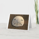 Suche nach dollar karten Küste