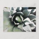 Suche nach blumenbilder postkarten Foto