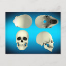 Suche nach menschlicher schädel postkarten Anatomie