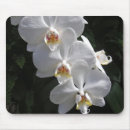 Suche nach weiße orchidee mousepads Blume