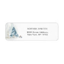 Suche nach winterkiefer Weihnachten