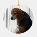 Suche nach beagle ornamente Niedlich