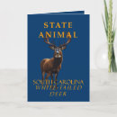 Suche nach whitetail Tier