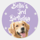 Suche nach haustier aufkleber Dogs