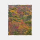 Suche nach automne Baum