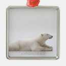 Suche nach temperatur ornamente Horizontal